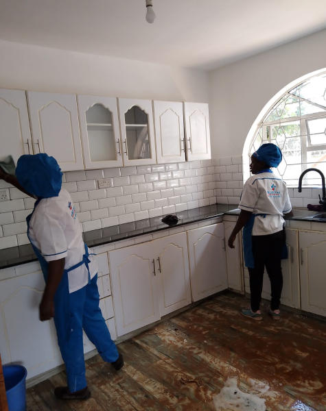 Kitchen Cleaning 1