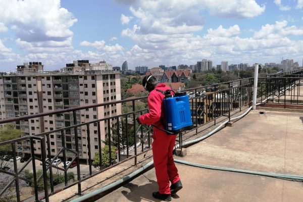 Preventative Pest Control in Nairobi by a Bluestar Pest control expert