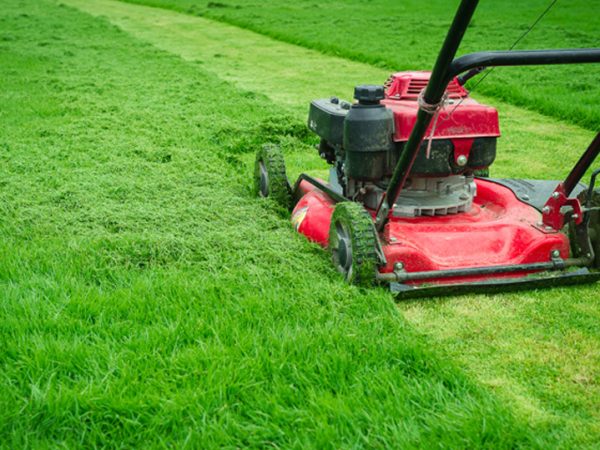 Landscaping Services in Nairobi | Expert Garden Design & Maintenance