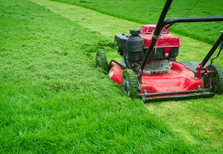 Services 9 Landscaping Services in Nairobi | Expert Garden Design & Maintenance
