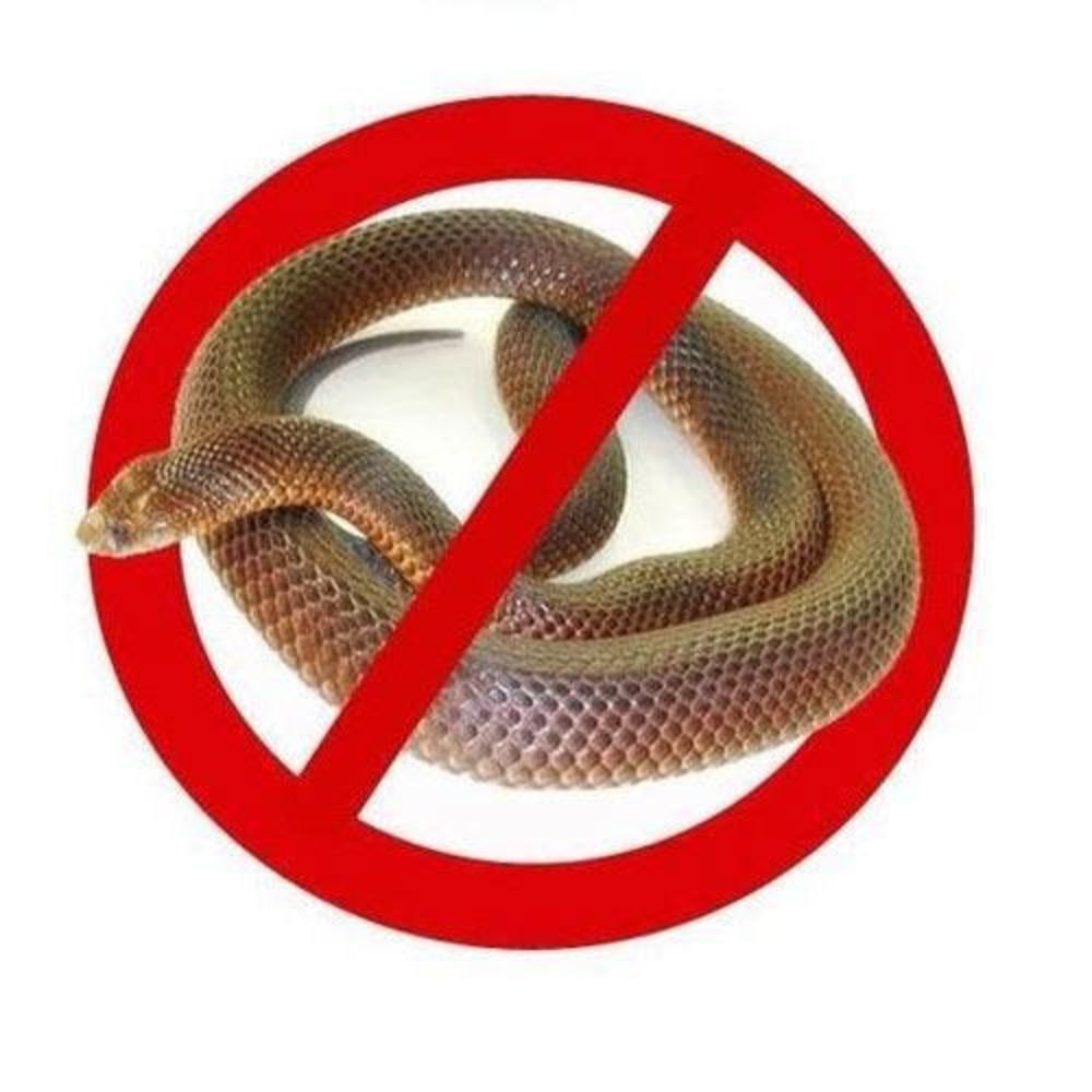 Services 1 Snake Control & Removal Services in Nairobi, Kenya snake control Nairobi, snake removal services Kenya, professional snake extermination Nairobi, venomous snake removal Kenya, best snake control company Nairobi, emergency snake removal Kenya, safe snake relocation Nairobi, cobra removal Nairobi, puff adder extermination Kenya, black mamba removal Nairobi, eco-friendly snake control Nairobi, snake infestation treatment Kenya, snake prevention services Nairobi, Nairobi pest control for snakes, snake-proof fencing Kenya, top snake exterminator Nairobi, wildlife control services Nairobi, snake problem Kenya, snake exterminator near me, affordable snake control Nairobi, snake repellent services Kenya, emergency snake catchers Nairobi, best pest control for snakes Nairobi, snake-proofing solutions Kenya, venomous snake treatment Nairobi, non-venomous snake removal Kenya, farm snake control Kenya, snake control for businesses Nairobi, Nairobi wildlife management, natural snake deterrents Kenya